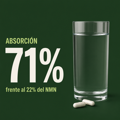 Absorción del 71% frente al 22% del NMN