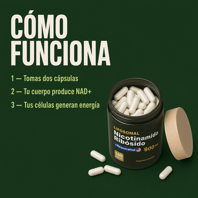 Cómo funciona: tomas dos cápsulas, tu cuerpo produce NAD+, tus células generan energía